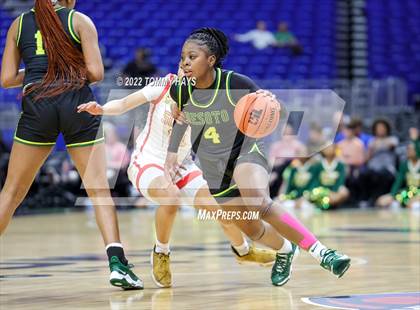 Thumbnail 3 in DeSoto vs. South Grand Prairie (UIL 6A State Final) photogallery.