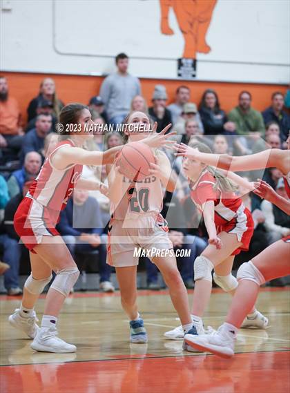 Thumbnail 1 in Cony @ Gardiner photogallery.