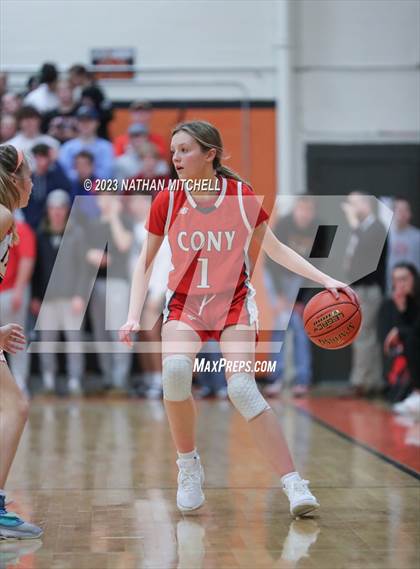 Thumbnail 2 in Cony @ Gardiner photogallery.