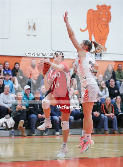 Thumbnail 2 in Cony @ Gardiner photogallery.