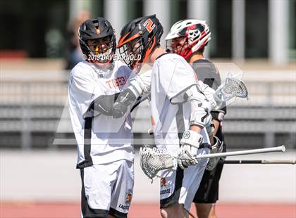 Thumbnail 3 in Wellesley @ Newton North (MIAA Division 1 South 1st Round) photogallery.