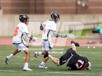 Thumbnail 1 in Wellesley @ Newton North (MIAA Division 1 South 1st Round) photogallery.