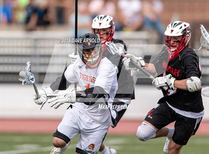 Thumbnail 3 in Wellesley @ Newton North (MIAA Division 1 South 1st Round) photogallery.