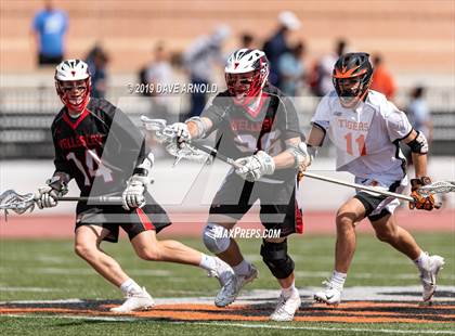 Thumbnail 3 in Wellesley @ Newton North (MIAA Division 1 South 1st Round) photogallery.