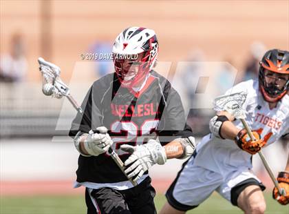 Thumbnail 1 in Wellesley @ Newton North (MIAA Division 1 South 1st Round) photogallery.