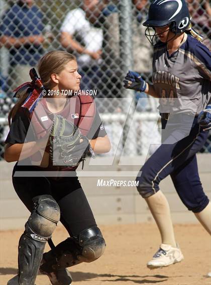 Thumbnail 1 in Frederick vs Ponderosa (CHSAA 4A Region 6 Playoff) photogallery.