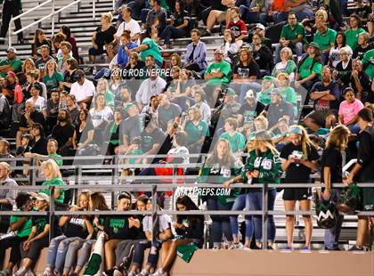 Thumbnail 2 in Little Elm @ Lake Dallas photogallery.