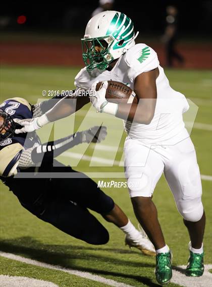 Thumbnail 3 in Little Elm @ Lake Dallas photogallery.