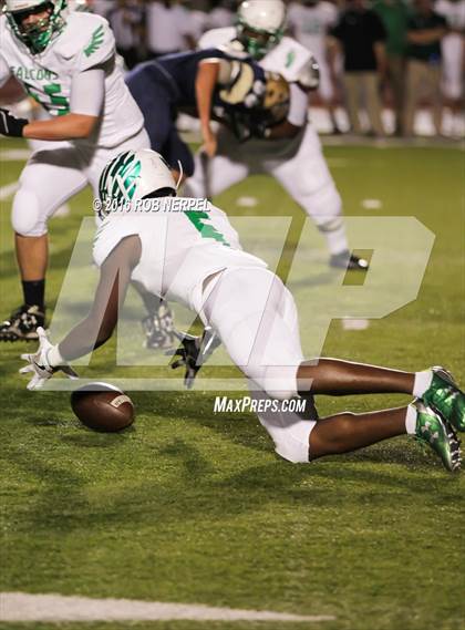 Thumbnail 2 in Little Elm @ Lake Dallas photogallery.