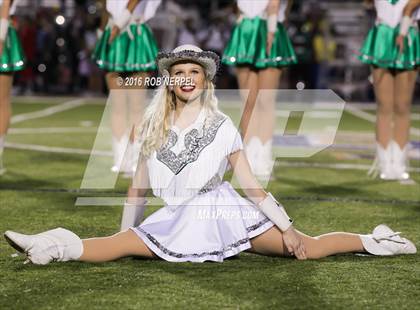 Thumbnail 1 in Little Elm @ Lake Dallas photogallery.