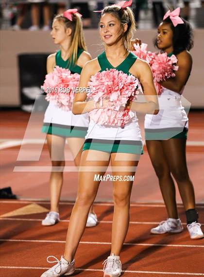 Thumbnail 3 in Little Elm @ Lake Dallas photogallery.