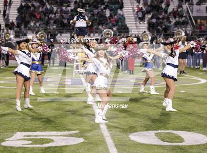 Thumbnail 3 in Little Elm @ Lake Dallas photogallery.