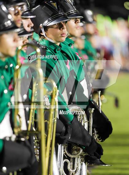 Thumbnail 3 in Little Elm @ Lake Dallas photogallery.