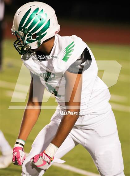 Thumbnail 2 in Little Elm @ Lake Dallas photogallery.