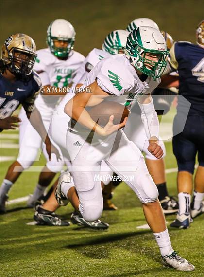 Thumbnail 1 in Little Elm @ Lake Dallas photogallery.