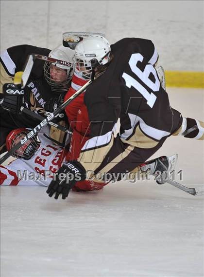 Thumbnail 3 in Regis Jesuit @ Palmer photogallery.