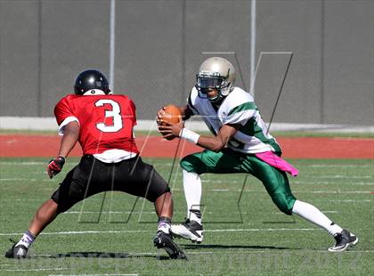 Thumbnail 2 in St. Patrick/St. Vincent @ Salesian photogallery.