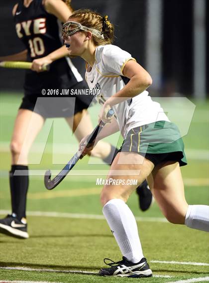 Thumbnail 2 in Lakeland vs. Rye (Section 1 Class B Final) photogallery.