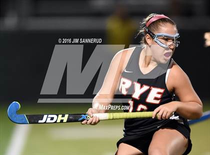 Thumbnail 3 in Lakeland vs. Rye (Section 1 Class B Final) photogallery.