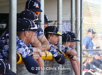 Thumbnail 3 in Air Academy @ Vista Ridge photogallery.