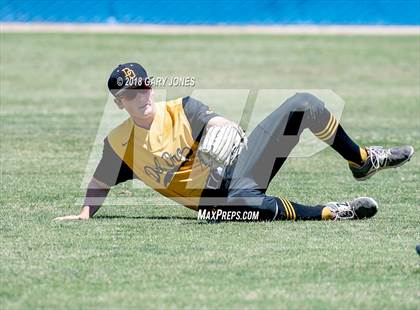 Thumbnail 3 in Del Campo vs. Del Oro (CIF SJS D2 Final) photogallery.