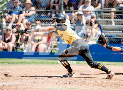 Thumbnail 2 in Del Campo vs. Del Oro (CIF SJS D2 Final) photogallery.