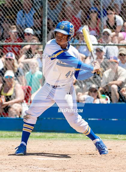 Thumbnail 2 in Del Campo vs. Del Oro (CIF SJS D2 Final) photogallery.