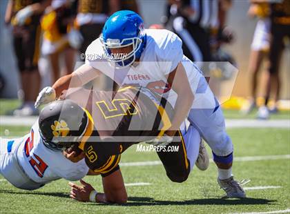 Thumbnail 3 in Los Lunas @ Cibola photogallery.
