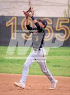 Photo from the gallery "Arcadia @ Muir"