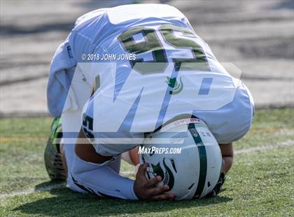 Thumbnail 1 in DePaul Catholic @ St. Peter's Prep photogallery.