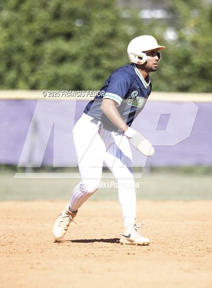 Thumbnail 3 in Alonso @ Sumner (Saladino) photogallery.