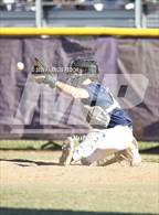 Photo from the gallery "Alonso @ Sumner (Saladino)"