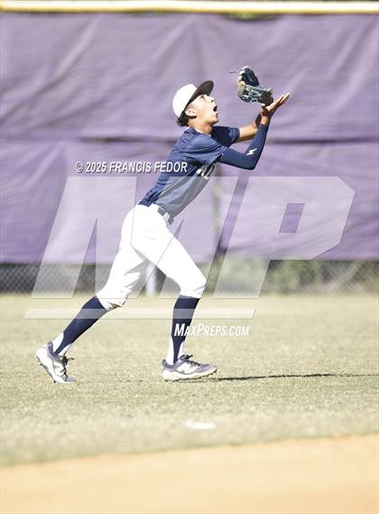 Thumbnail 1 in Alonso @ Sumner (Saladino) photogallery.