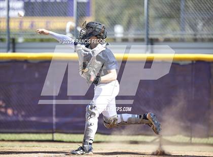 Thumbnail 3 in Alonso @ Sumner (Saladino) photogallery.