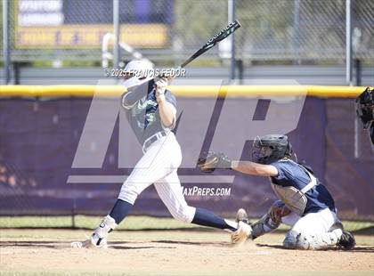 Thumbnail 1 in Alonso @ Sumner (Saladino) photogallery.
