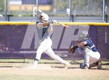 Thumbnail 1 in Alonso @ Sumner (Saladino) photogallery.