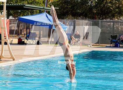 Thumbnail 3 in AIA Division I,III Diving Semifinals photogallery.