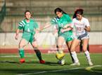 Photo from the gallery "Brookwood @ Pelham"