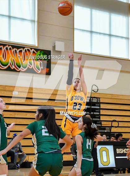 Thumbnail 1 in St. Patrick-St. Vincent @ Bishop O'Dowd (Bishop O'Dowd MLK Tournament) photogallery.