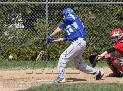 Thumbnail 1 in St. Bernard @ Lyman Memorial photogallery.