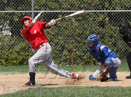 Thumbnail 3 in St. Bernard @ Lyman Memorial photogallery.