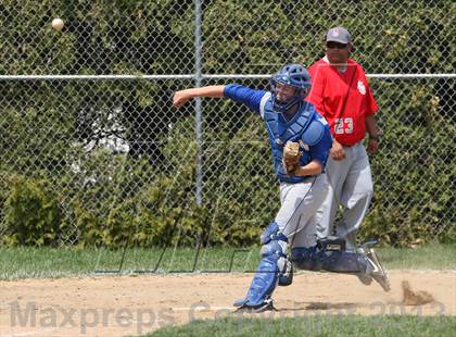 Thumbnail 3 in St. Bernard @ Lyman Memorial photogallery.