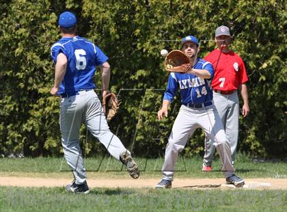 Thumbnail 3 in St. Bernard @ Lyman Memorial photogallery.