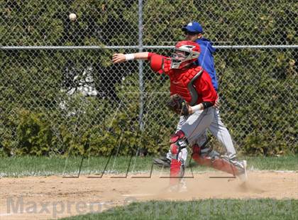 Thumbnail 3 in St. Bernard @ Lyman Memorial photogallery.