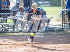 Photo from the gallery "Del Norte @ San Pasqual"