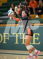 Photo from the gallery "L'Anse Creuse North @ Fenton"