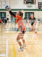 Photo from the gallery "L'Anse Creuse North @ Fenton"