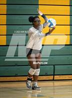 Photo from the gallery "L'Anse Creuse North @ Fenton"