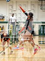 Photo from the gallery "L'Anse Creuse North @ Fenton"