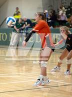 Photo from the gallery "L'Anse Creuse North @ Fenton"